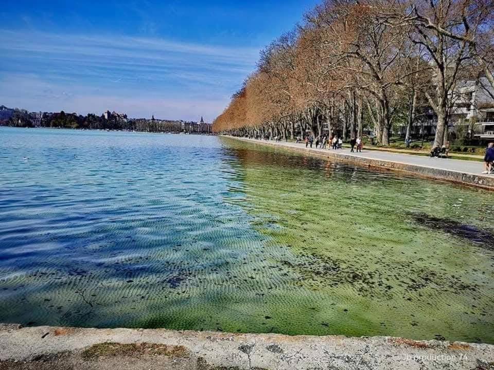 דירות אנסי La Petite Venise Des Alpes, Ultra Centre 1 A 5 Pers מראה חיצוני תמונה